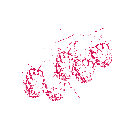 Drink Fruit Sticker