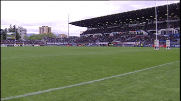 fc grenoble mascot GIF by FCG Rugby