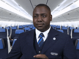 flying royal dutch airlines GIF