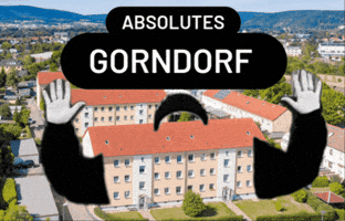 Absolut GIF