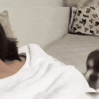 Please-cute GIFs - Find & Share on GIPHY