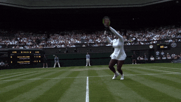 smash serena williams GIF by Wimbledon