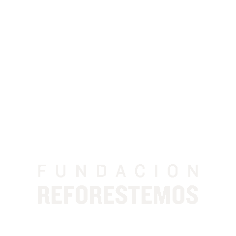 Reforestemos Sticker