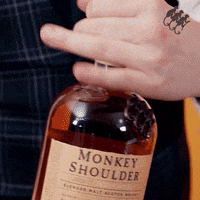 cheers ice GIF by Monkey Shoulder