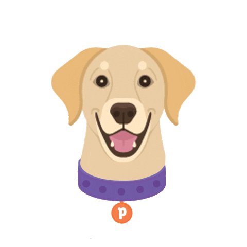 Dog Food Wink Sticker