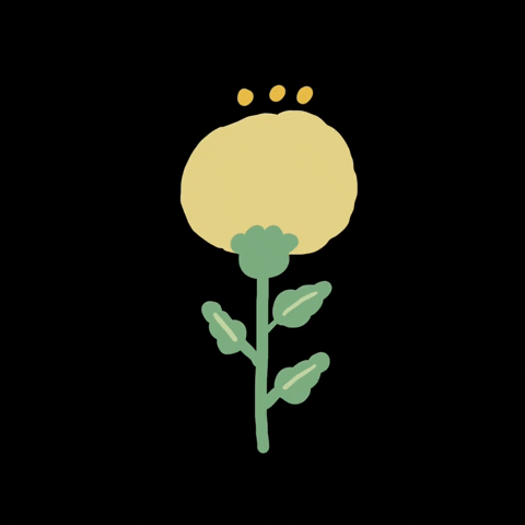 Flower 花 GIF