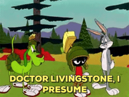GIF by fiono