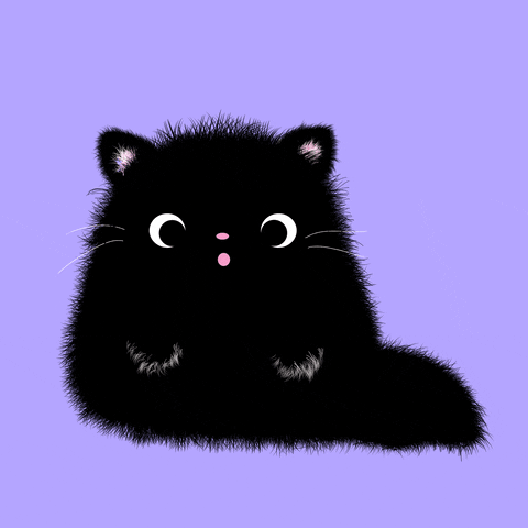 Black Cat Love GIF