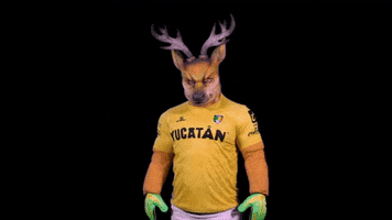 Yucatan Primerosoyvenado GIF by Venados FC