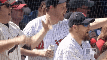 minnesota twins baseball GIF by MLB