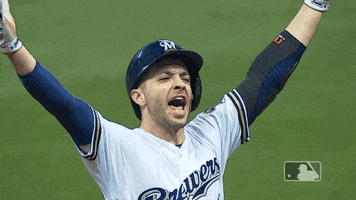 lets go GIF by MLB