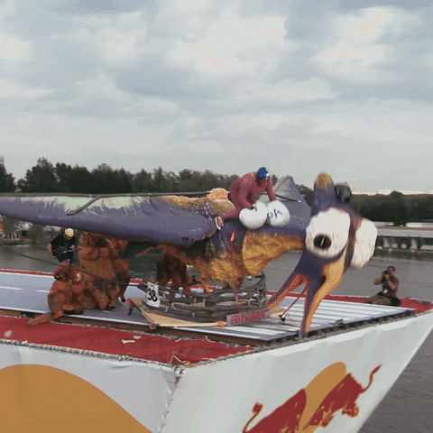 flugtag GIF by Red Bull