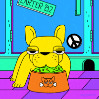 animation domination lol GIF by gifnews