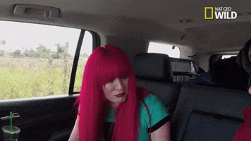 200.gif?cid=fc005b0822b7ec4f7d6c85cc3a7ecf6dc894051edfcd9ae6&rid=200.gif&ct=g