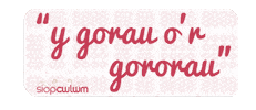 Siop Cwlwm Sticker
