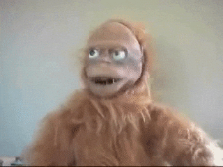 Giphy