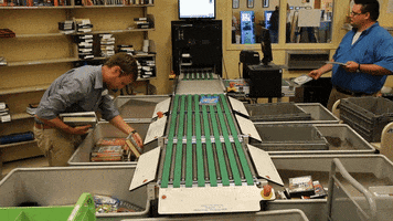 shanachiecarroll  GIF