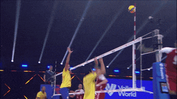 Rejected No Way GIF by Volleyball World