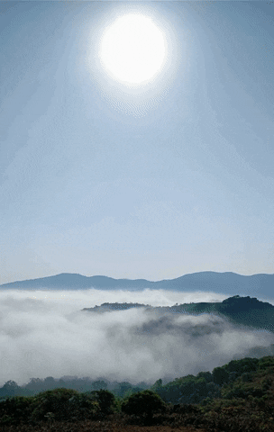 Travel GIF