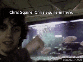 chris squire yes GIF