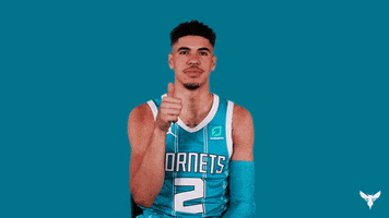Lamelo Ball Yes GIF by Charlotte Hornets
