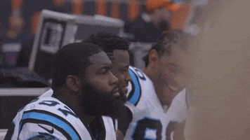 Happy Julius Peppers GIF by Carolina Panthers
