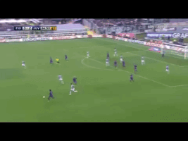 FLC  GIF