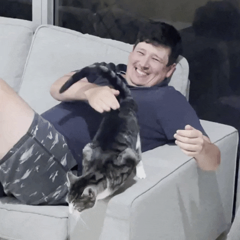 Cat GIF