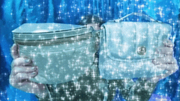 Excited Holiday GIF by Coach