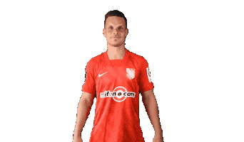 Aufstieg Dritte Liga Sticker by TSV Havelse 1912 e.V.