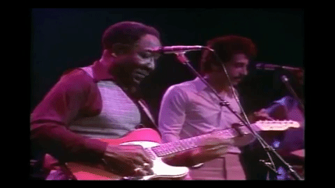 Chicago Blues Guitar GIF by Muddy Waters - Find & Share on GIPHY