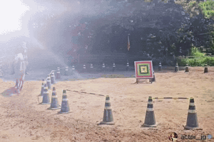 Horseback Riding Jg GIF