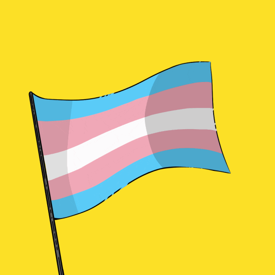 gay flag waving gif