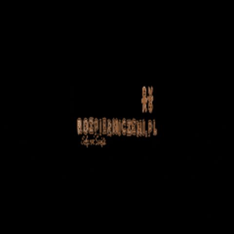 Rozpierniczeni.pl GIF