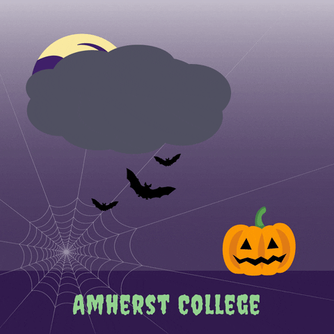 Halloween GIF by Amherst College