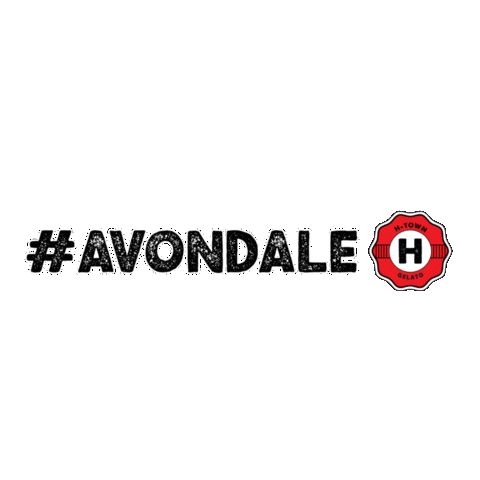 Htown Zimbabwe Sticker by H-Town Gelato