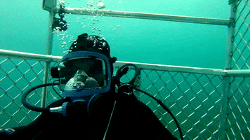 discovery channel mood GIF by Discovery Europe