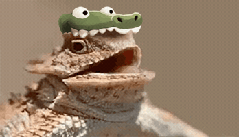 Excited Hat GIF by TokenGators