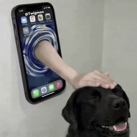 Good Boy Phone GIF