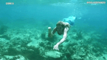 mermaid paradise GIF by Isola dei Famosi