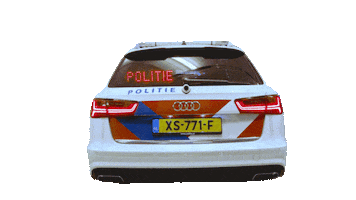 Denhaag Sticker by Politie Eenheid Den Haag BGS