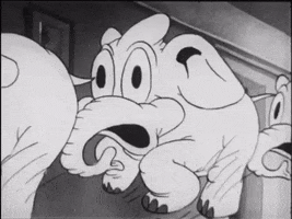 Elephant GIF