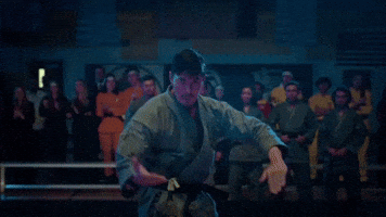 Cobra Kai GIF