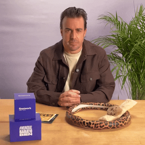 Fernando Alonso Serio GIF by Finetwork