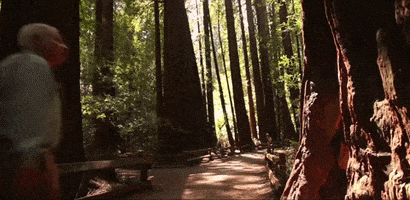 san francisco california GIF