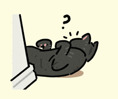 Cat GIF