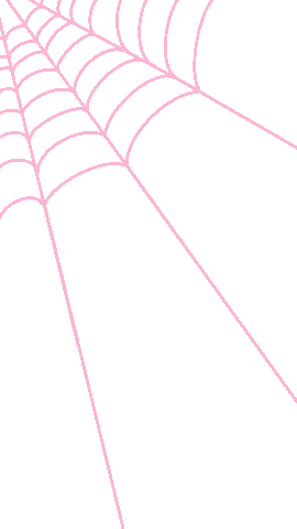Spider Web Pink Sticker