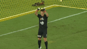 Brisbane Roar FC GIF