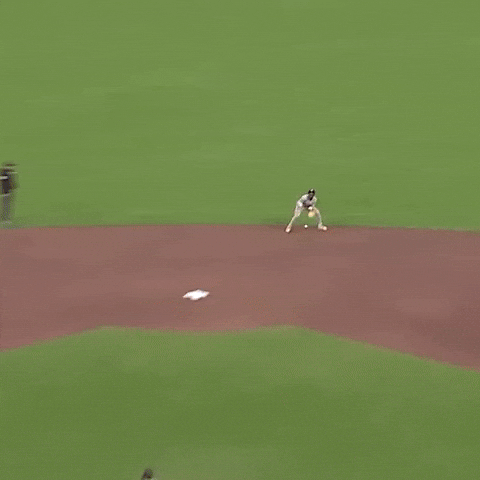 New York Yankees Baseball GIF by MLB