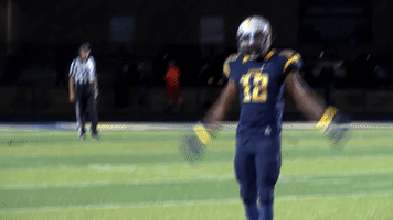 Make Some Noise Football GIF by Marian University